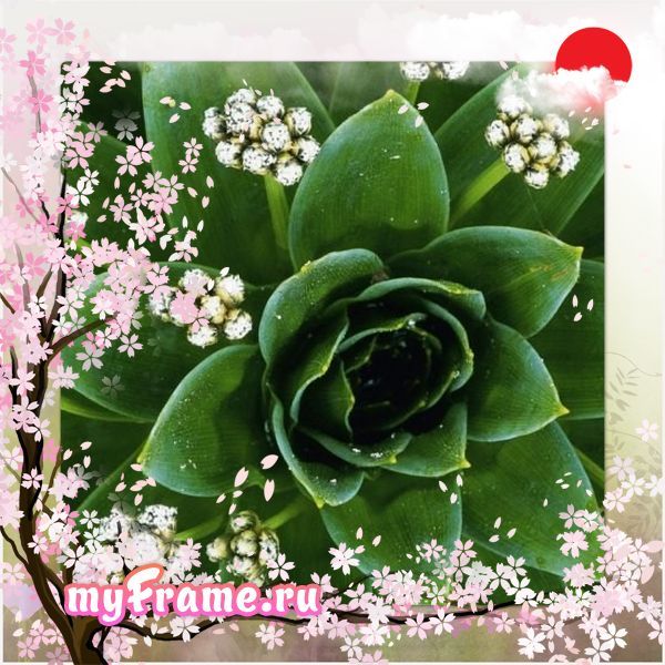 Нелли Пономарева