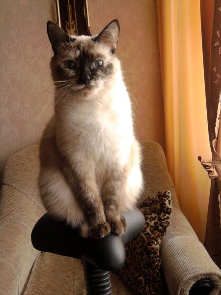 Марина Векшина