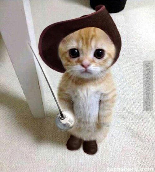 Ичко Марина