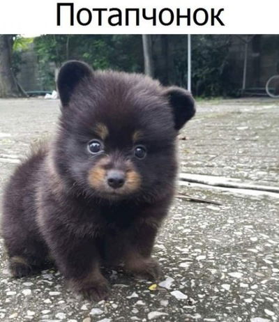 Ксюша Королькова