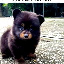 Ксюша Королькова