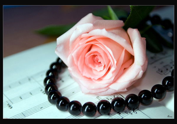 Марина Нурмухаметова