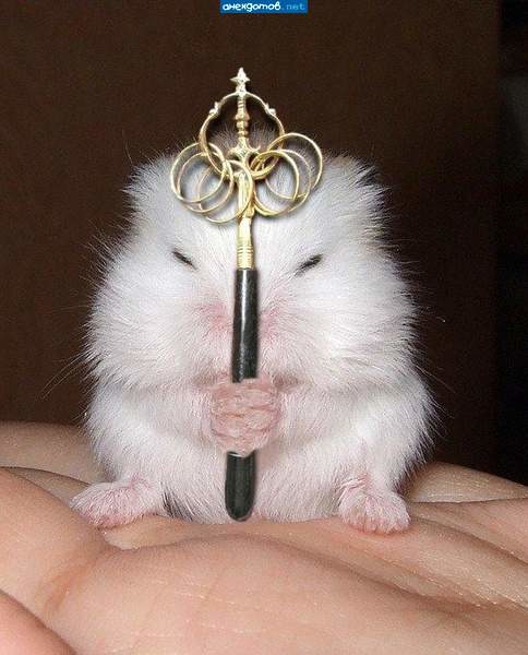 Павел Гнеушев