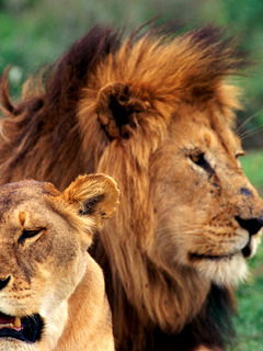 Геннадий Аликулов