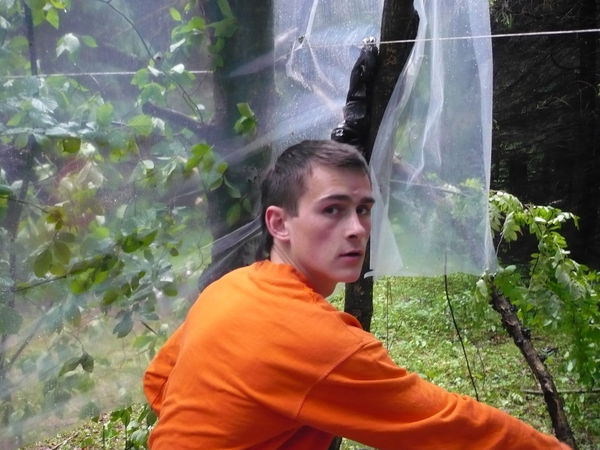 Александр Толкачёв