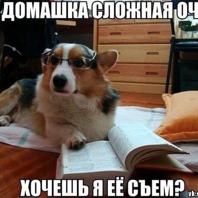 Анастасия Рычкова