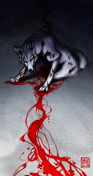 Дарья Торокова