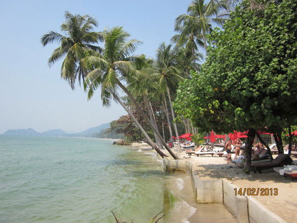 Татьяна Кулик