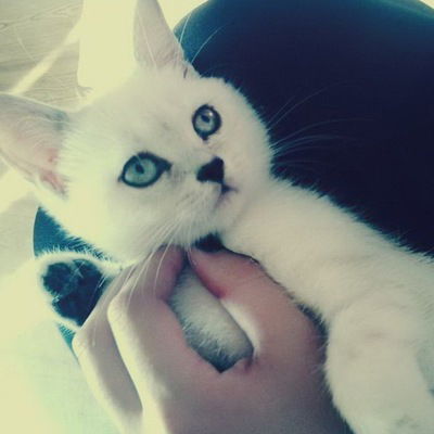 Дарья Олеговна