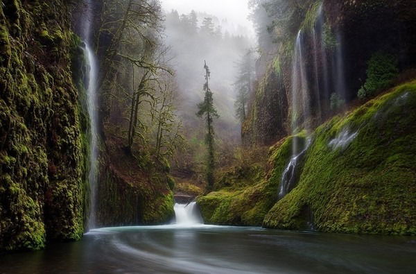 Асланбек Магомадов