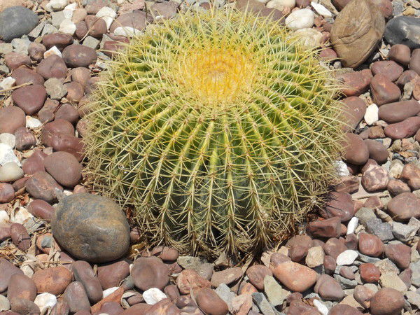 Людмила Микрюкова