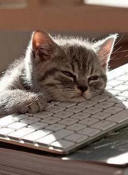 Леся Жукова