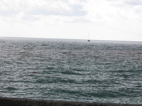 Трофимова Анна