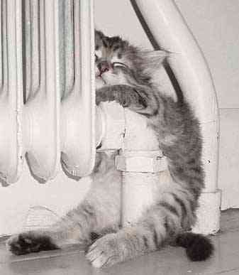 Павел Тютрюмов