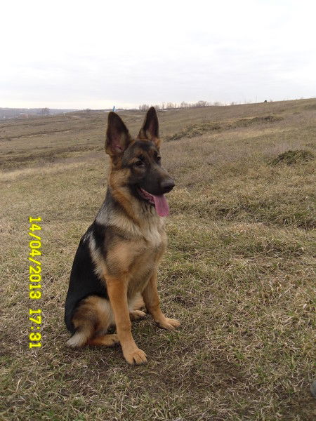 Ирина Салихова