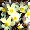 Роман Гладык