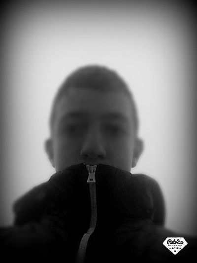 Андрей Городецкий