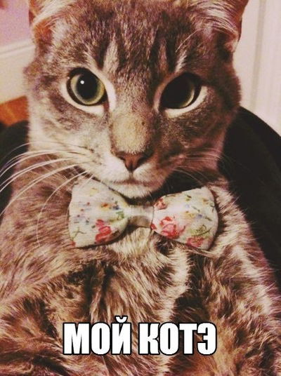 Катя Вакурина