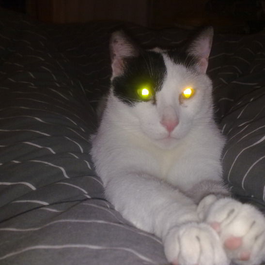 Наталия Полонская