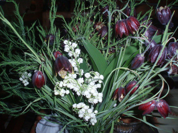 Ольга Кияновская