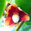 Анатолий Козаченко