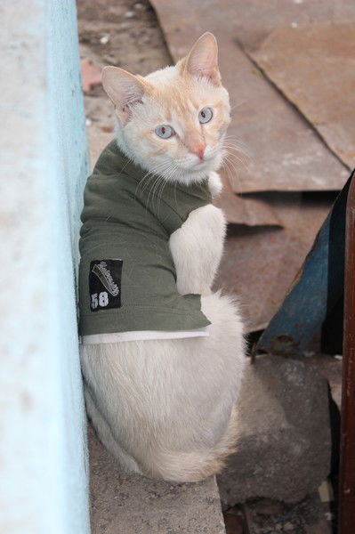 Анастасия Шаламова