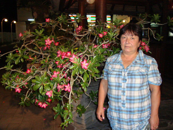 Наталья Сулейманова