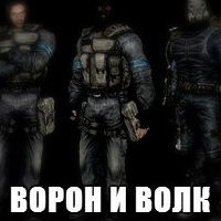Дима Волков