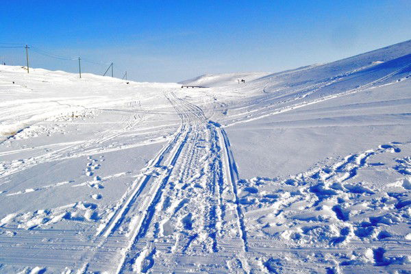 Анатолий Лисьих