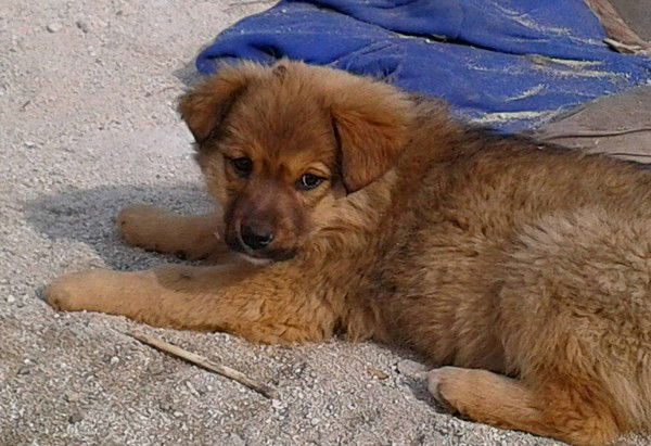 Владимир Данилюк