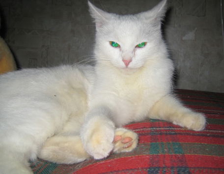 Татьяна Валерьевна