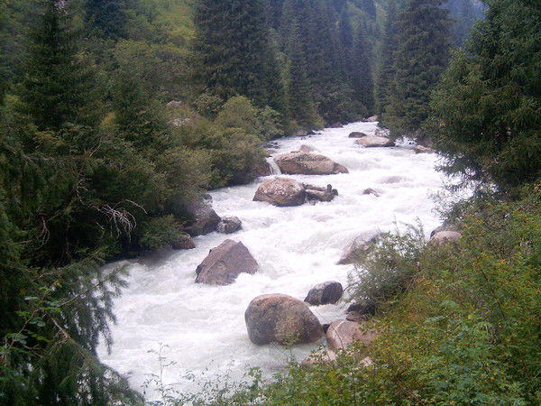 Алия Оспанова