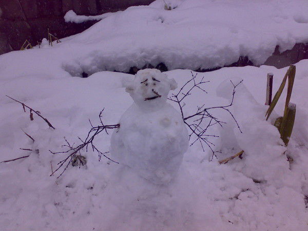 Виктор Гамзин