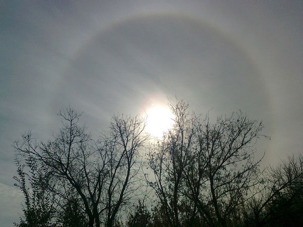 Толя Ра Свет