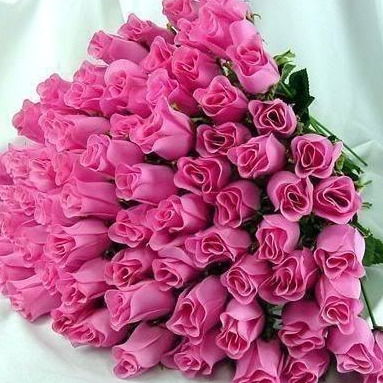 Надежда Малюшина