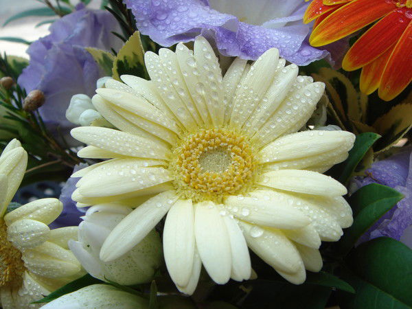 Марина Уварова Р10-83