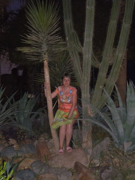 Елена Лапшина