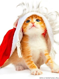 Рукият Ашурлаева