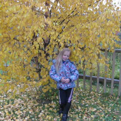 Крёса Щепина