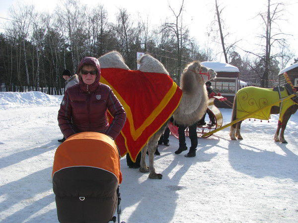 Наталья Жмуркина