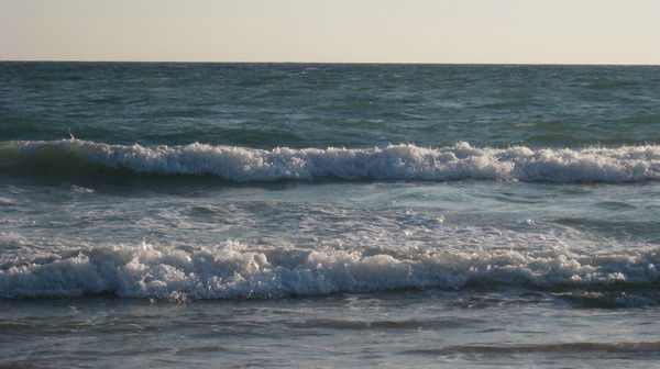 Владимир Пономарев