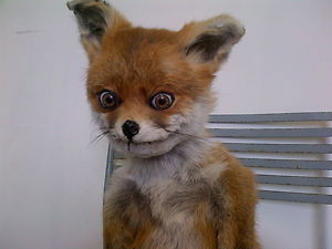 Роман Мошной