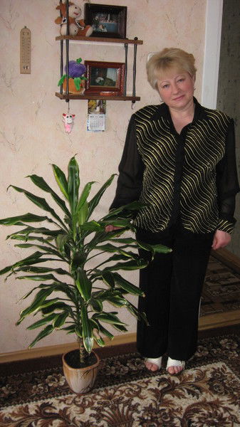 Галина Кулешова