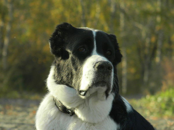 Марина Омельченко