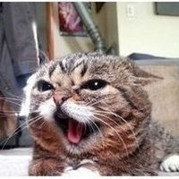 Адиль Беляев