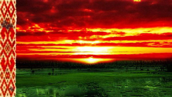 Коля Журавский