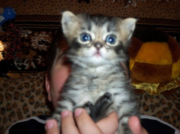 Артем Третяков