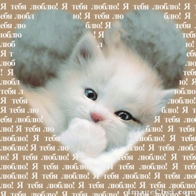 Елена Петрунь