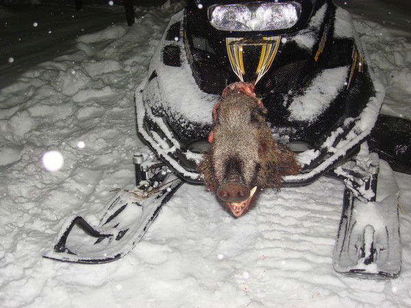 Игорь Игнатов