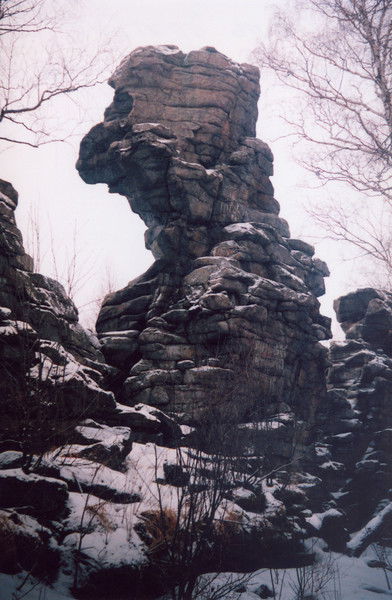 Гражданин Леса